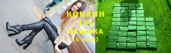 стафф Иннополис