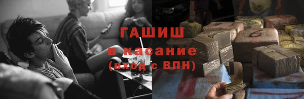 шишки Инта