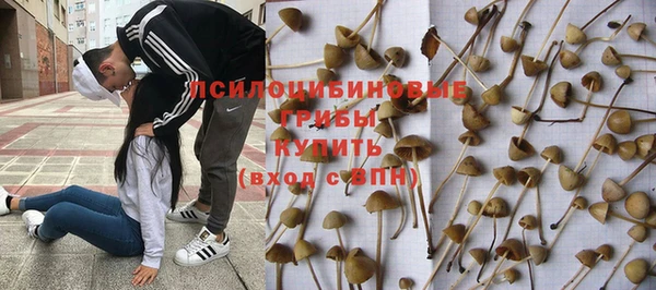 винт Алексеевка