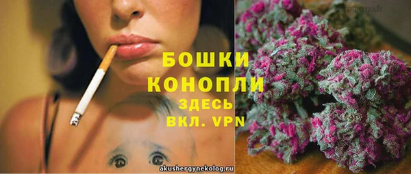 мдпв Заволжск