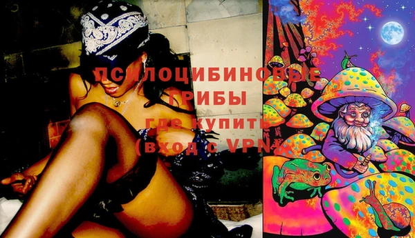 винт Алексеевка