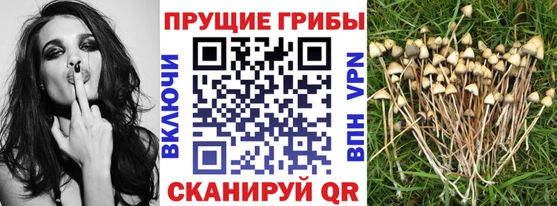 Галлюциногенные грибы MAGIC MUSHROOMS  Долинск 